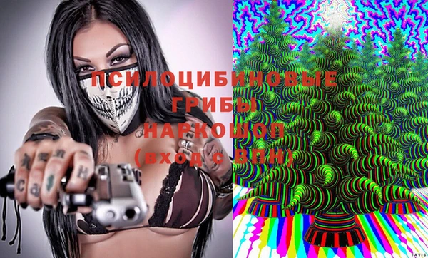 MDMA Заводоуковск